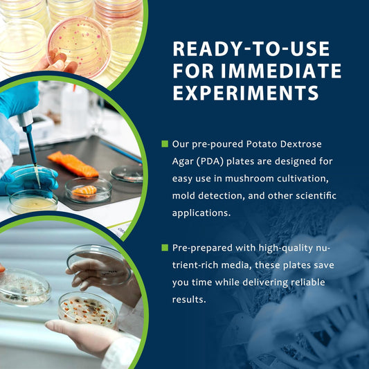 Pre-order: Potato Dextrose Agar (PDA) Plates – 10 Pre Poured Petri Dishes for Mushroom Cultivation & Science Projects