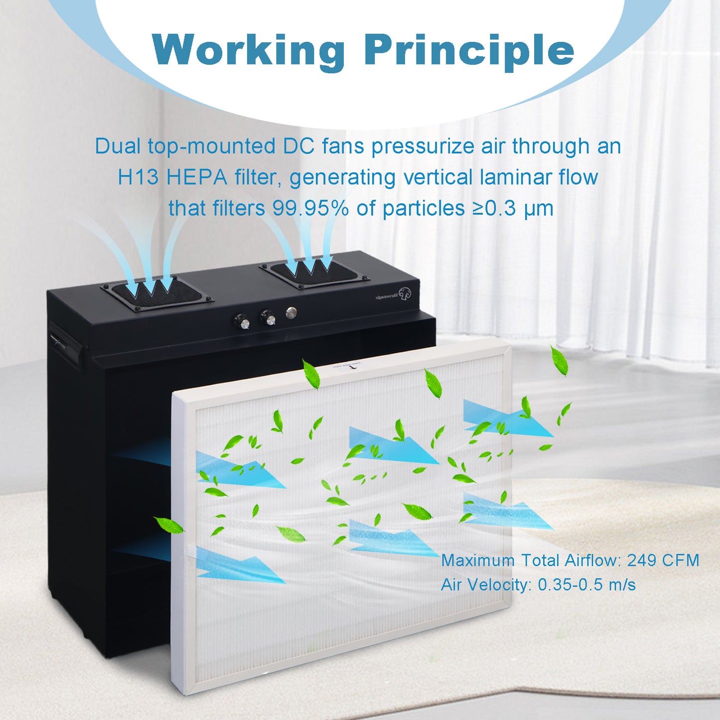 Laminar Flow Hood with H13 HEPA Filter | Clean Bench for Mycology, Mushroom Cultivation & Lab Use