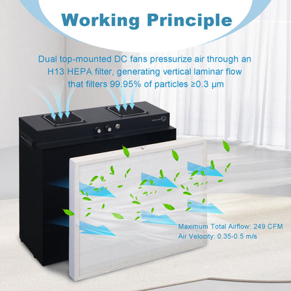 Laminar Flow Hood with H13 HEPA Filter | Clean Bench for Mycology, Mushroom Cultivation & Lab Use