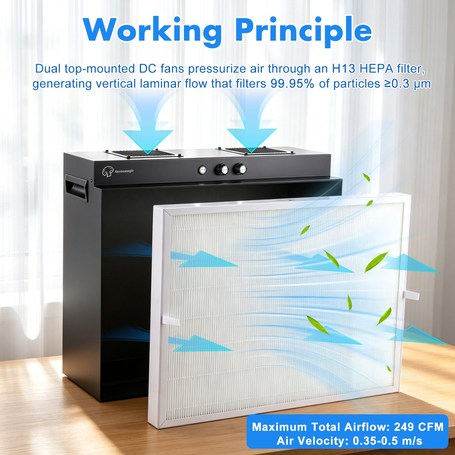 Laminar Flow Hood with H13 HEPA Filter | Clean Bench for Mycology, Mushroom Cultivation & Lab Use