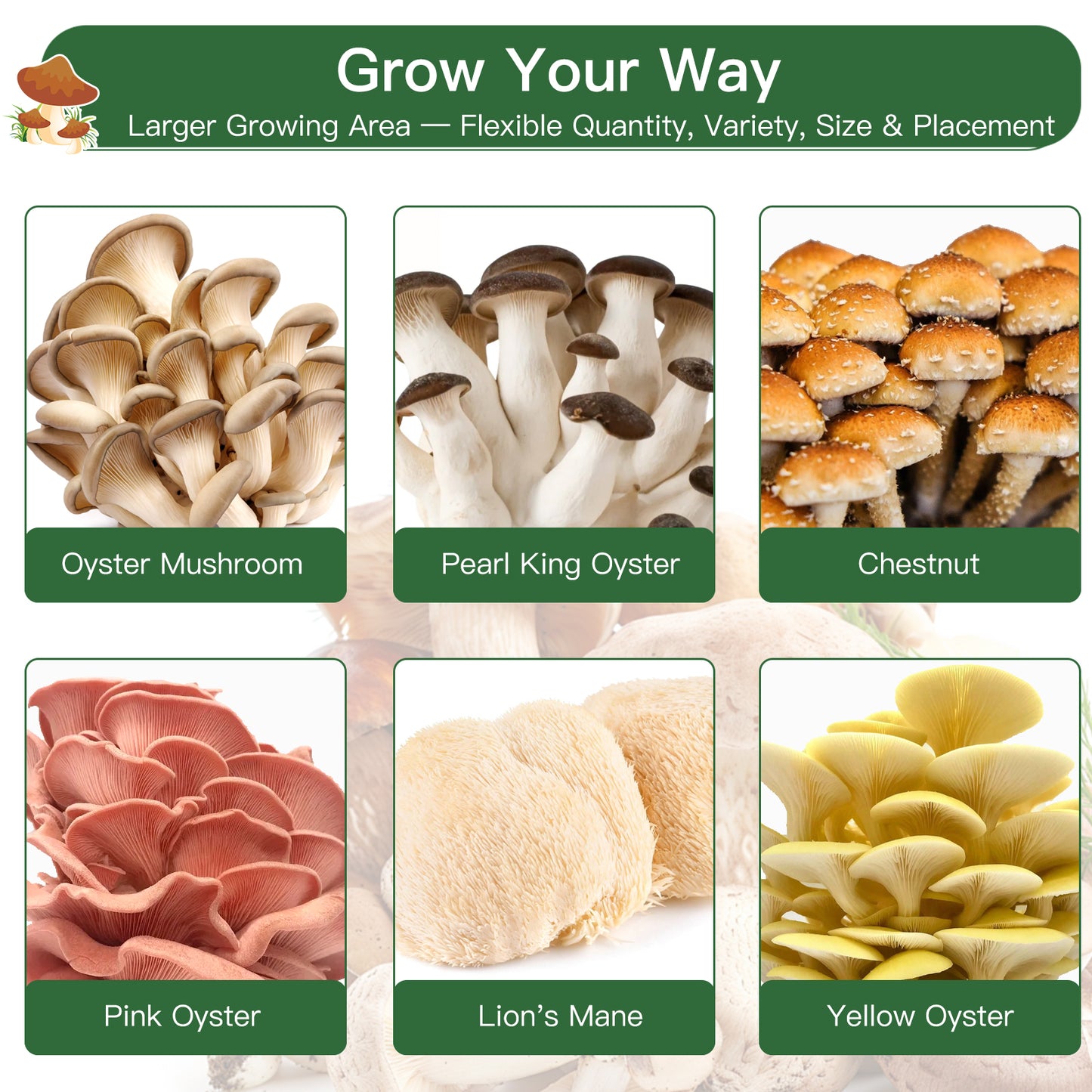 Smart Mushroom Growing Kit for Indoor Use, Automatic Humidity&Light Control, Mushroom Grow Box with Fresh Air Exchange System, Grow Gourmet&Functional Mushrooms at Home, Monotub Compatible