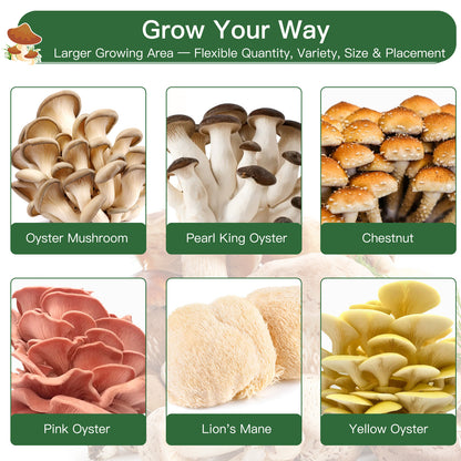 Smart Mushroom Growing Kit for Indoor Use, Automatic Humidity&Light Control, Mushroom Grow Box with Fresh Air Exchange System, Grow Gourmet&Functional Mushrooms at Home, Monotub Compatible