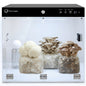 Smart Mushroom Growing Kit for Indoor Use, Automatic Humidity&Light Control, Mushroom Grow Box with Fresh Air Exchange System, Grow Gourmet&Functional Mushrooms at Home, Monotub Compatible