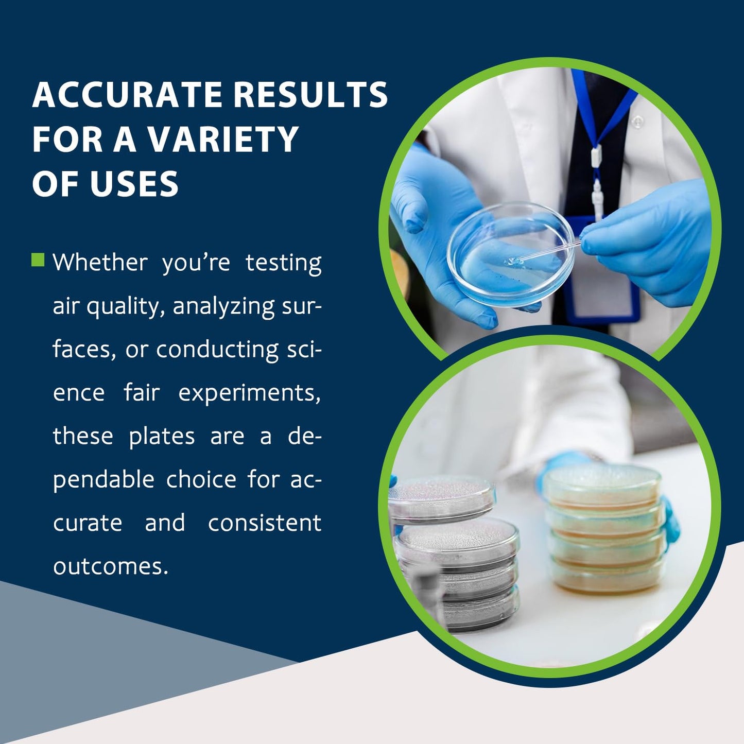 Potato Dextrose Agar (PDA) Plates – 10 Pre Poured Petri Dishes for Mushroom Cultivation & Science Projects