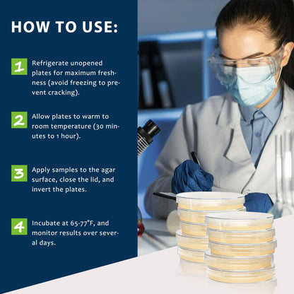 Potato Dextrose Agar (PDA) Plates – 10 Pre Poured Petri Dishes for Mushroom Cultivation & Science Projects