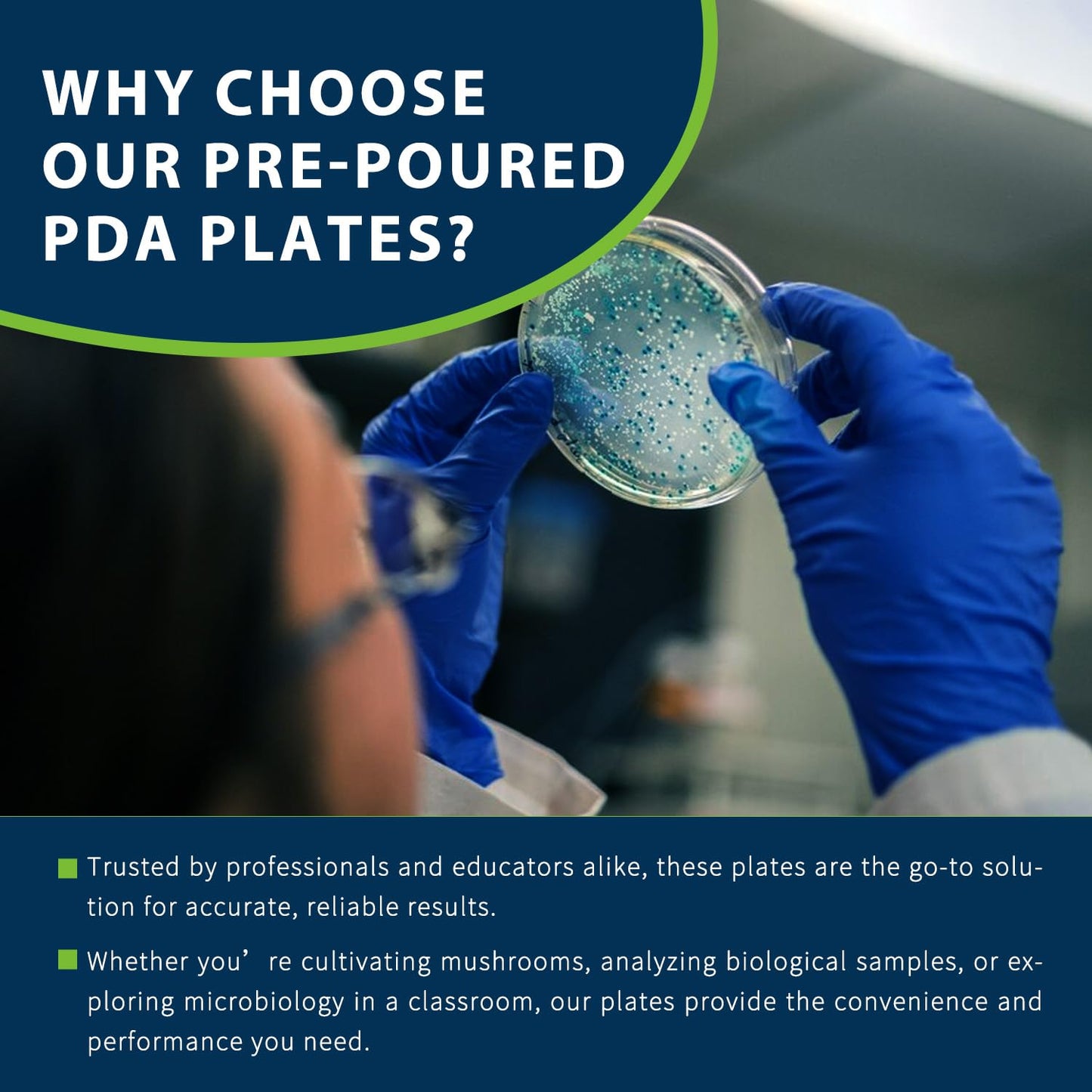 Potato Dextrose Agar (PDA) Plates – 10 Pre Poured Petri Dishes for Mushroom Cultivation & Science Projects