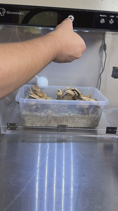 Smart Mushroom Growing Kit for Indoor Use, Automatic Humidity&Light Control, Mushroom Grow Box with Fresh Air Exchange System, Grow Gourmet&Functional Mushrooms at Home, Monotub Compatible